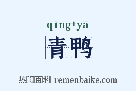 青鸭是什么意思的图片